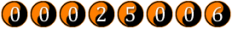 website counter